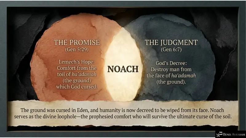 Noach between the promise (Genesis 5:29) and the judgment (Genesis 6:7)