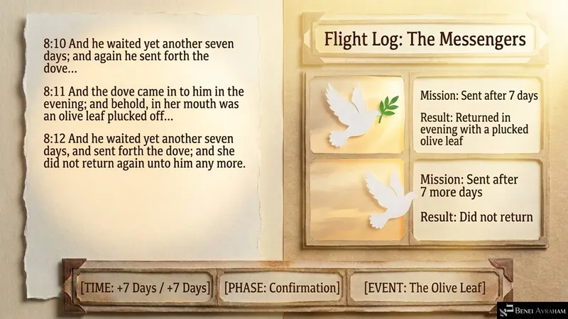 The dove returns with a plucked olive leaf, and then does not return again (Genesis 8:10–12)