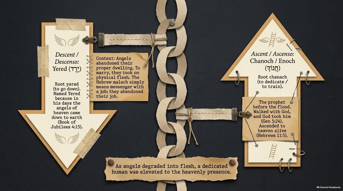 A downward arrow, “Descent: Yered (יֶרֶד),” named because the angels came down in his days (Jubilees 4:15), and an upward arrow, “Ascent: Chanoch / Enoch (חֲנוֹךְ),” who walked with God and was taken up alive (Genesis 5:24; Hebrews 11:5). A paper chain joins them: “As angels degraded into flesh, a dedicated human was elevated to the heavenly presence.”